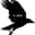 20 birds Logo